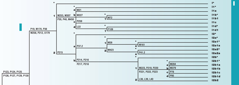 Haplogroup E