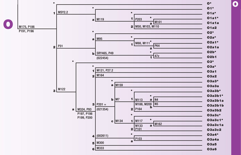 Haplogroup E