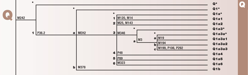 Haplogroup E